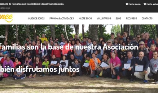 desarrollo web asociacion ampnee