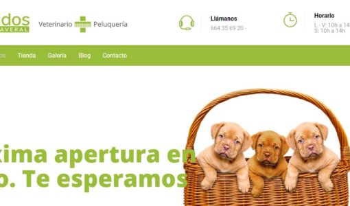 diseño web veterinario
