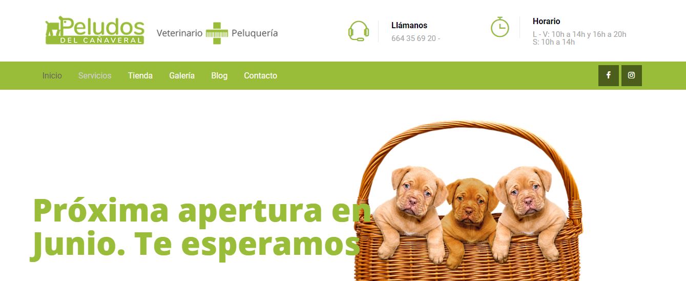 diseño web veterinario