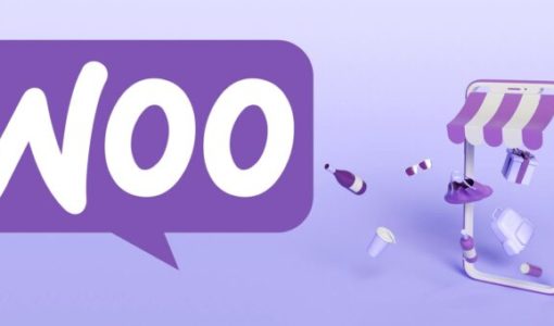 vulneravilidad woocommerce 2021