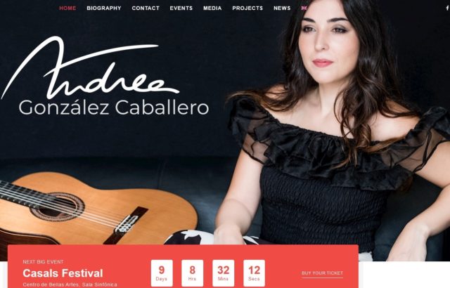 andrea guitar 1