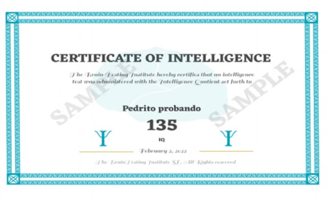 web test inteligencia brain testing
