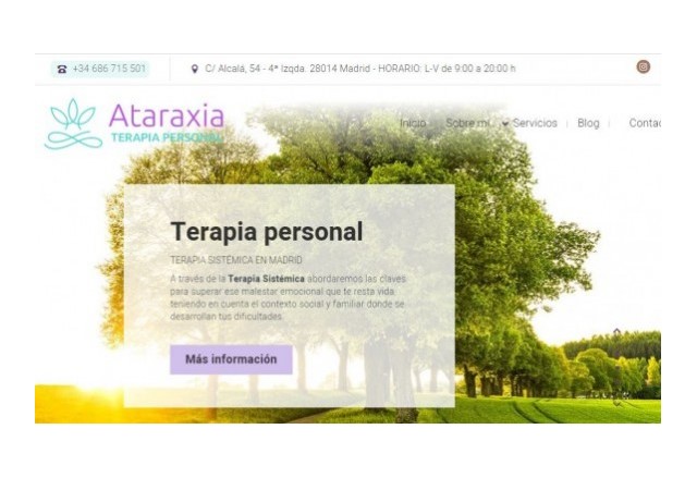 desarrollo web terapeuta madrid