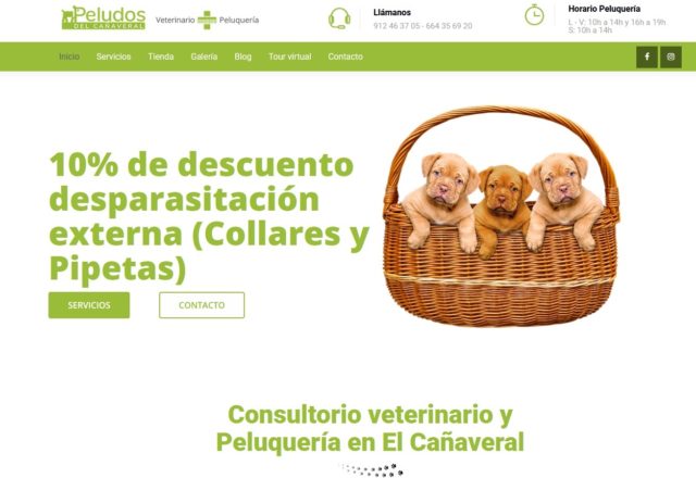 veterinario