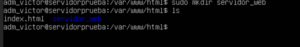 Creación de carpeta para proyecto web en el VPS