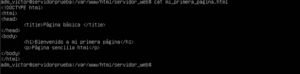 Editando archivo HTML básico con editor nano