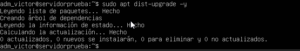 Comando apt dist-upgrade para actualizar dependencias