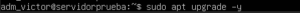 Ejecutando apt upgrade para actualizar el sistema