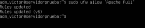 Configuración del firewall UFW para permitir tráfico HTTP y HTTPS