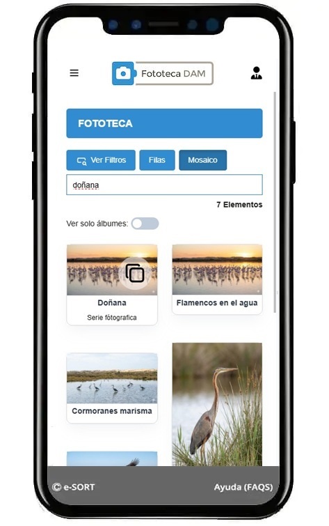 Archivo Fotográfico - Imagen Móvil Donana